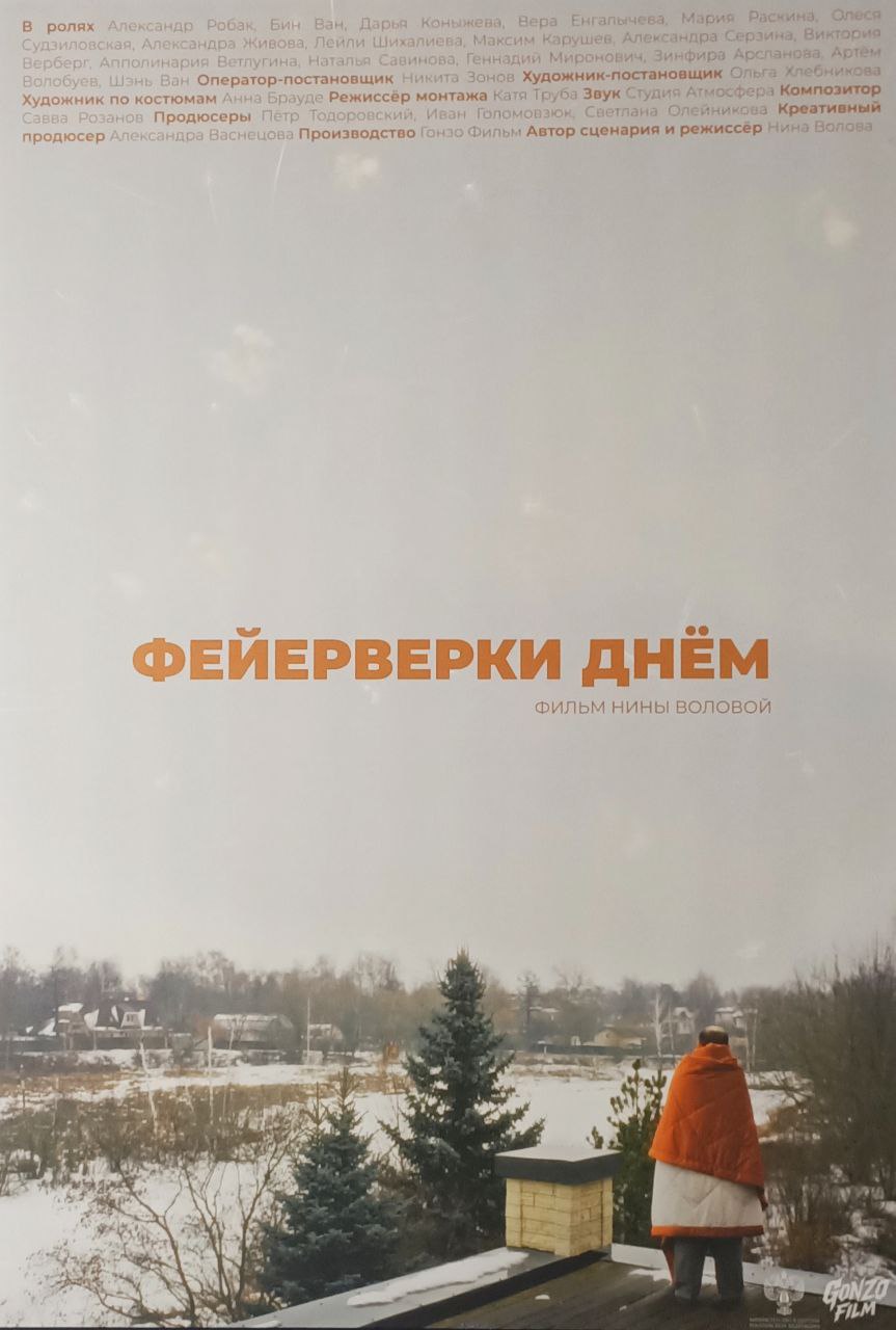 Фейерверки днём (2025)