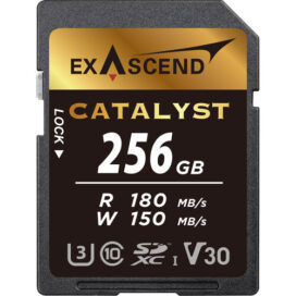 Карта памяти SDXC Exascend Catalyst (V30; 256gb; W 150MB/s)