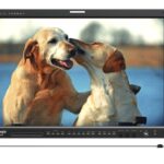 Режиссёрский монитор TVLogic LVM-245W (24