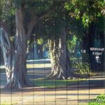 Фильтр 4×5.65” Tiffen Low Contrast 1/4 2